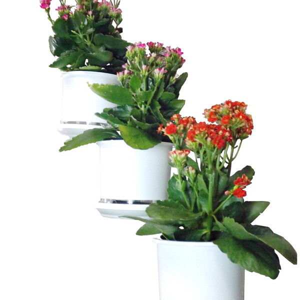 Jardim Vertical: Suporte De Parede Branco Para 3 Vasos | Deco